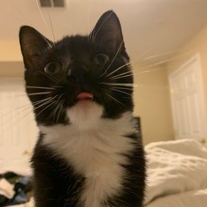 Meet your Posher, Amy